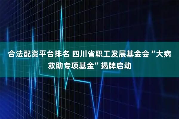 合法配资平台排名 四川省职工发展基金会“大病救助专项基金”揭牌启动